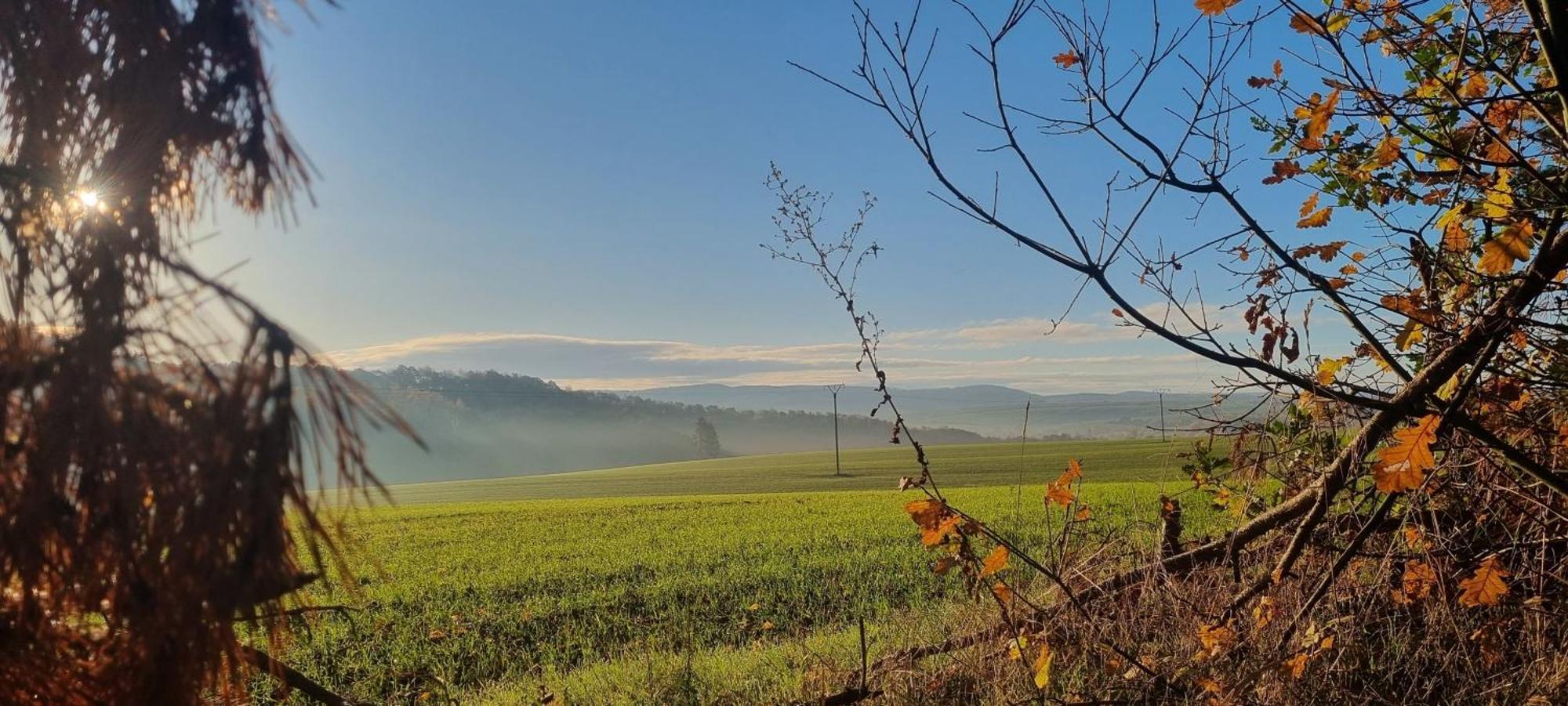 Ferienapartment Haus Am Gruen 2 "Sunshine" - Ruhe & Entspannung Mitten In Der Natur Herzberg am Harz Zewnętrze zdjęcie