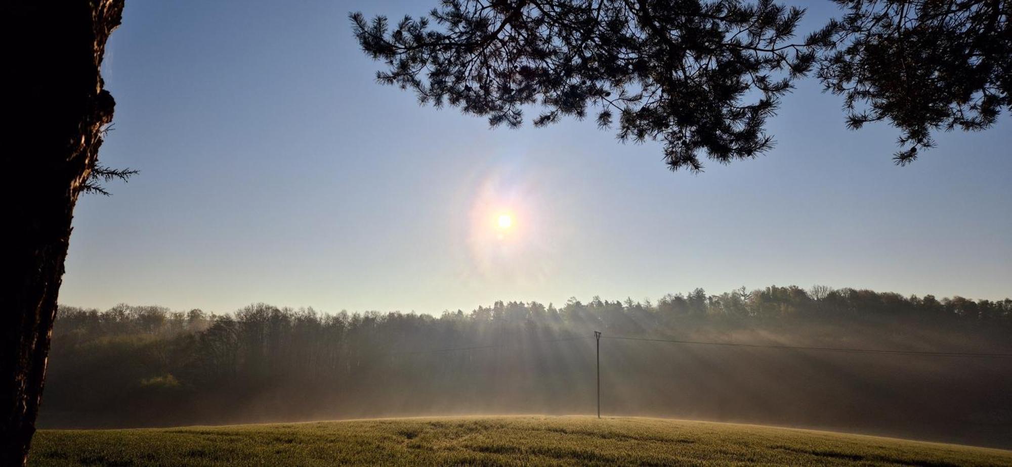Ferienapartment Haus Am Gruen 2 "Sunshine" - Ruhe & Entspannung Mitten In Der Natur Herzberg am Harz Zewnętrze zdjęcie